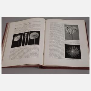 Zwei Bände Die Wunder Natur