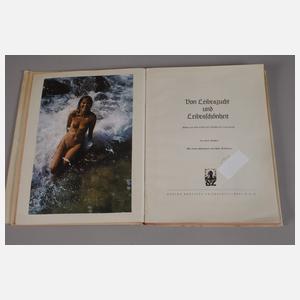 Von Leibeszucht und Leibesschönheit