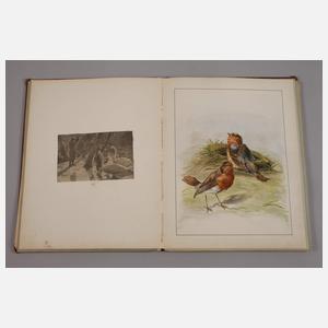 Unikat Kinderbuch "Buntes Allerlei“