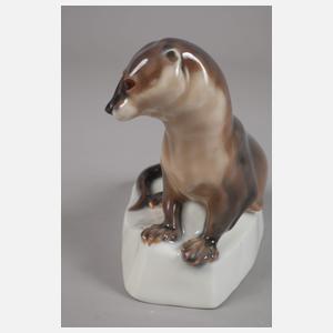 Meissen seltener "Fischotter auf Felsen"