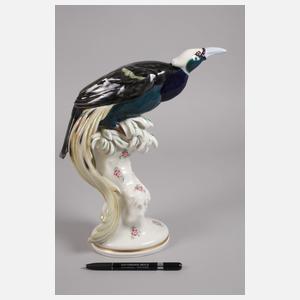 Meissen "Paradiesvogel"
