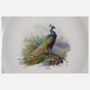 Meissen acht Speiseteller Geflügelmalerei