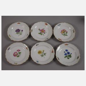 Meissen Kaffee-/Mokkaservice "Blume 1"