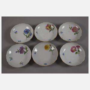 Meissen Kaffee-/Mokkaservice "Blume 1"