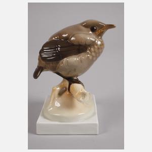 Nymphenburg "Junge Amsel"