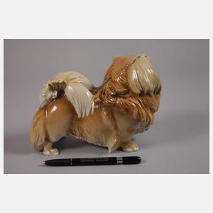 Nymphenburg "Pekinese"