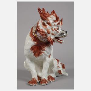 Potschappel Bologneser Hund