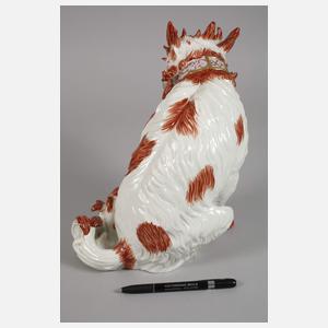 Potschappel Bologneser Hund