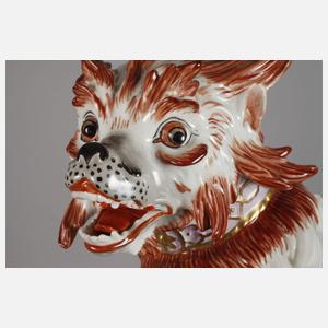 Potschappel Bologneser Hund