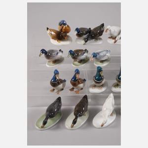 Rosenthal große Sammlung Wildenten