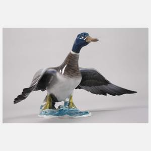 Rosenthal Konvolut Wildenten