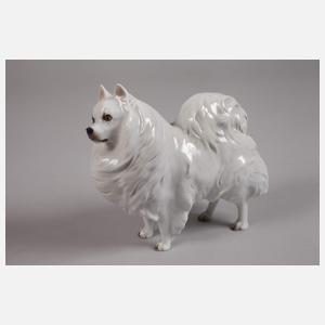 Rosenthal drei Hunde