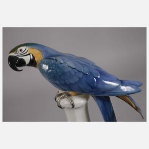 Pfeffer Gotha Papagei auf hohem Podest