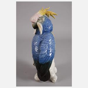 Karl Ens Volkstedt großer Kakadu