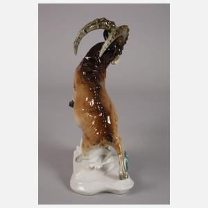 Karl Ens Volkstedt "Steinbock mit Echse"