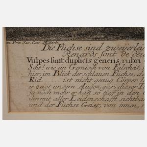 Johann Elias Ridinger, "Brandfuchs..."