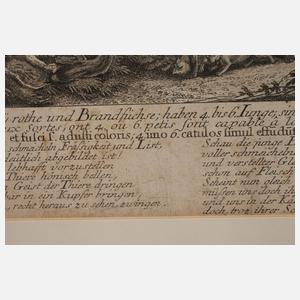 Johann Elias Ridinger, "Brandfuchs..."