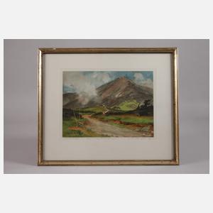 Edward H. Compton, "Schneekoppe vom Kammweg"