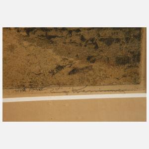 Luigi Kasimir, "Burg Wildegg"