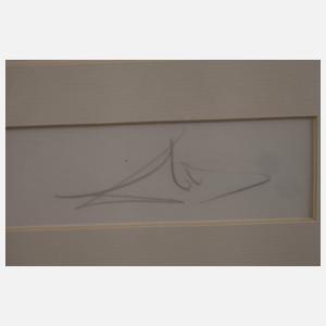 Salvador Dali, "A caza de mondidientes"