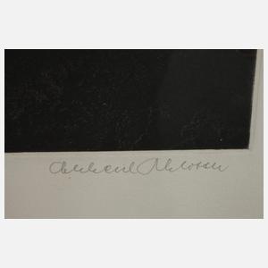 Eberhard Schlotter, Nachts