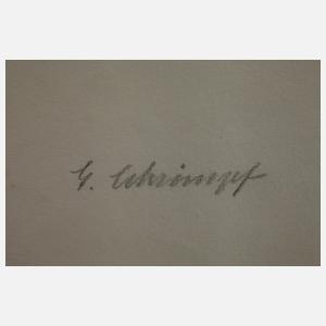 Georg Schrimpf, zu "Van Zantens glückliche Zeit"