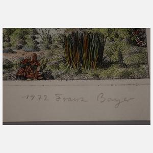 Prof. Franz Bayer, "Rakete"