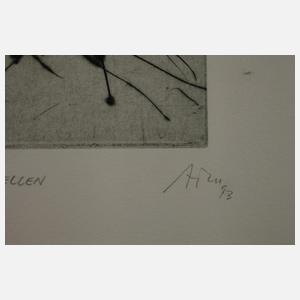 Alfred Traugott Mörstedt, "Äquatorparzellen"