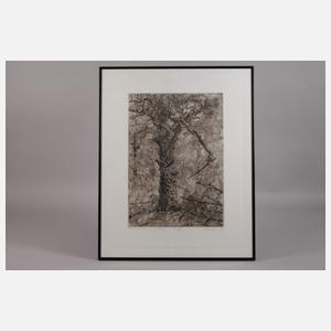 Hans-Christoph Rackwitz, "Eiche auf der Insel..."