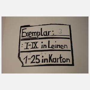 Künstlerbuch, "Die Scham der Schwäne"