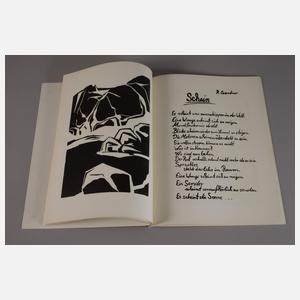 Künstlerbuch, "Die Scham der Schwäne"