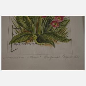 Lorenz Christensen, Serie Pflanzendarstellung
