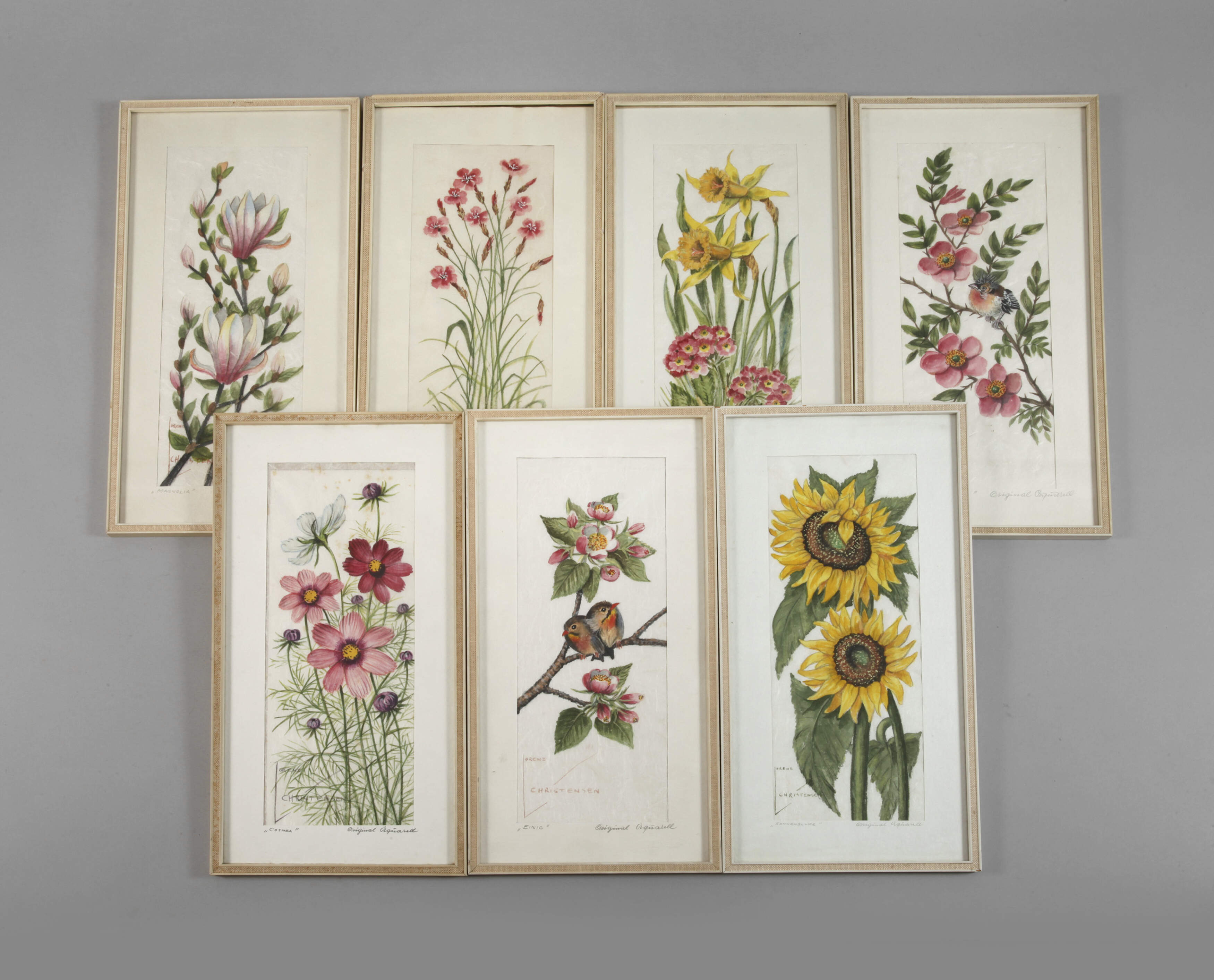 Lorenz Christensen, Serie Pflanzendarstellung