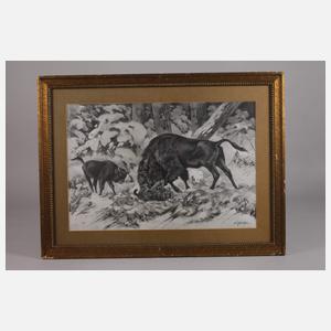 Erich Dichtl, "Wisent im Kampf mit Luchs"