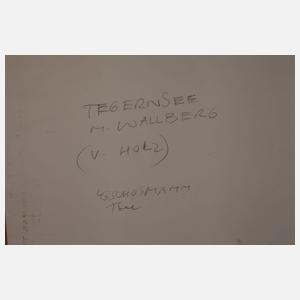 Ludwig Gschosmann, "Tegernsee mit Wallberg"