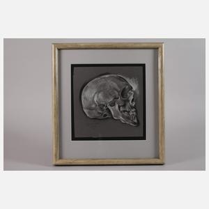 Ernst Holzhäuser, Schädelzeichnung