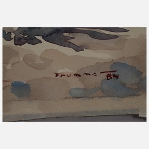 August Trummer, "In der Bucht..."