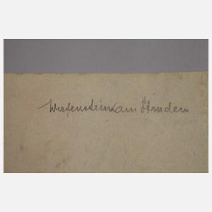 "Burg Werfenstein am Struden"