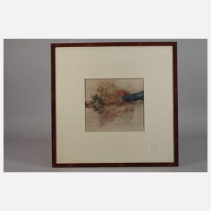 John Foster Macfarlane, "Pheasant Duon"