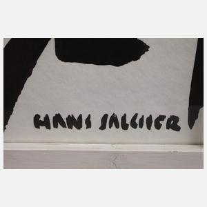 Hans Salcher, Personengruppe