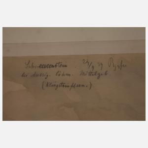 Sophus Ruge, attr., Blick auf den Schreckenstein