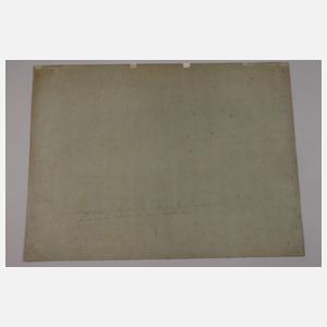 Völkerschlacht zu Leipzig am Ranstädter Tor