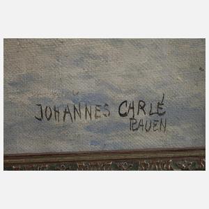 Johannes Carlé, Krebes im Winter