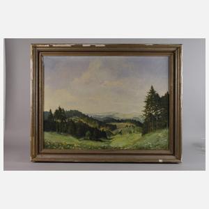 Kurt Geipel, Blick von der "Warth" in Jößnitz