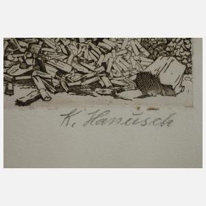 Prof. Karl Hanusch, Zwei Graphiken