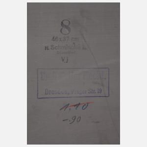 Marta Henckel-Pillnay, Blick auf Dresden