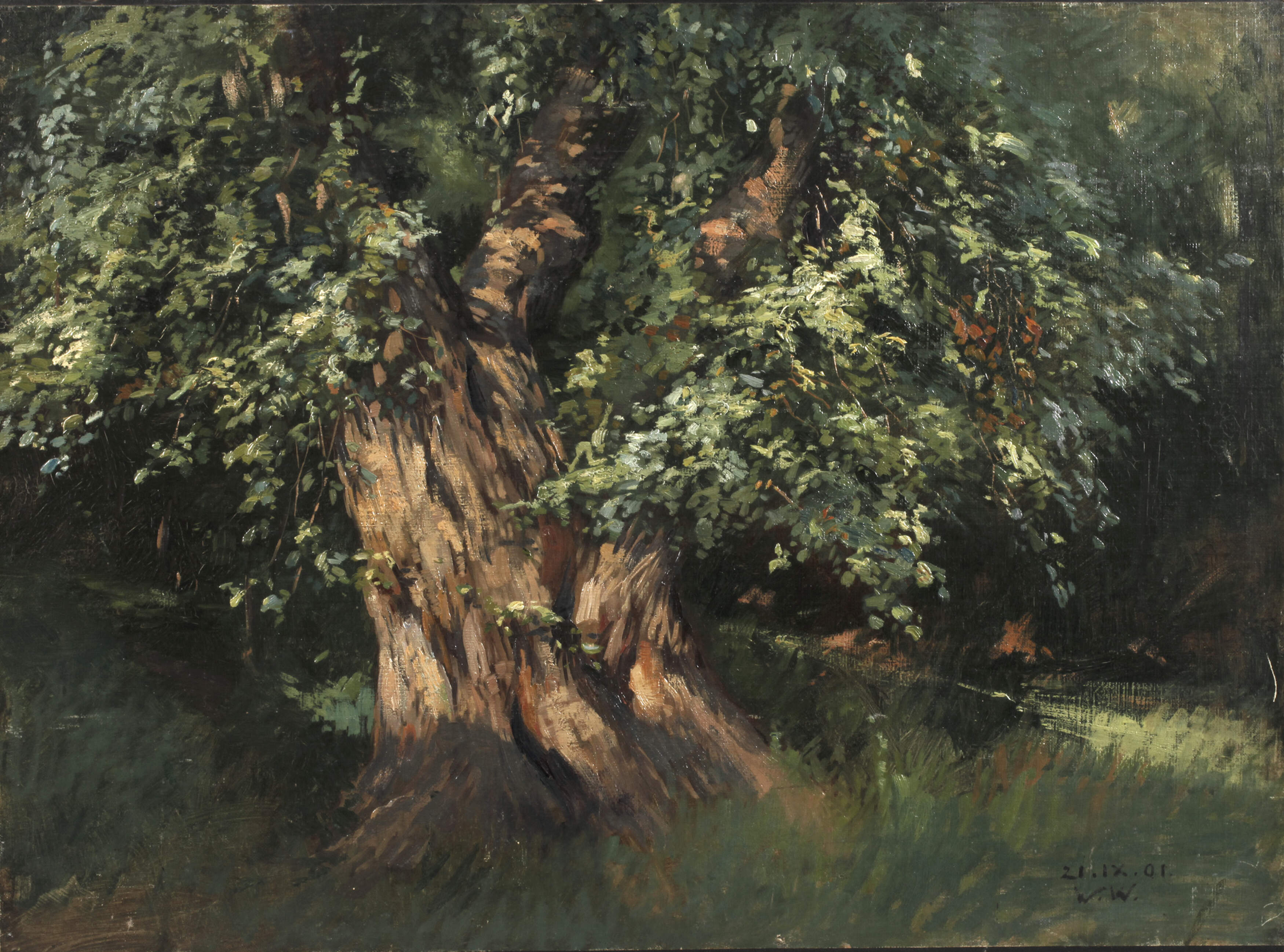 Walther Witting, Waldinneres