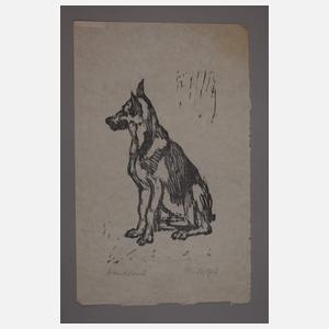 Wilhelm Rudolph, Sitzender Schäferhund