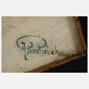 Procházka, Winterliche Gebirgslandschaft