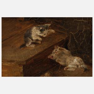 Max Schneidt, spielende Kätzchen